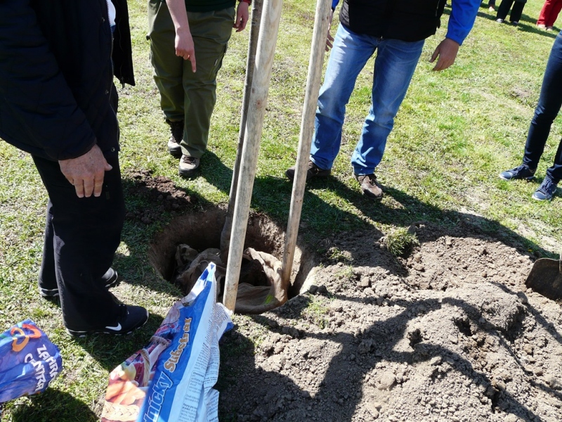 100. výročie vzniku ochrany prírody - výsadba stromu