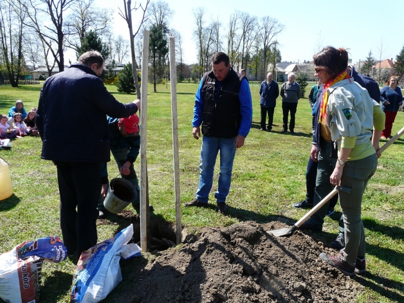 100. výročie vzniku ochrany prírody - výsadba stromu