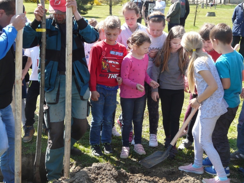 100. výročie vzniku ochrany prírody - výsadba stromu