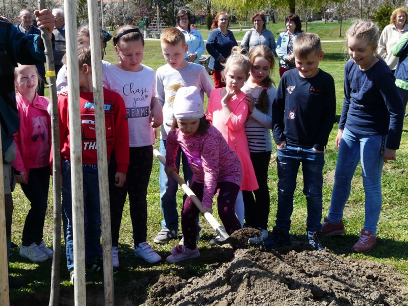 100. výročie vzniku ochrany prírody - výsadba stromu