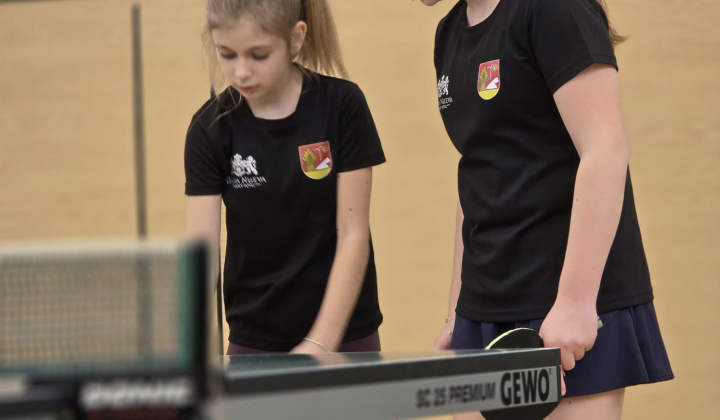 9. fotografia fotogalérie Stolný tenis ŠŠ / Majstrovstvá Banskobystrického kraja najmladšieho a staršieho žiactva v KALINOVE - foto