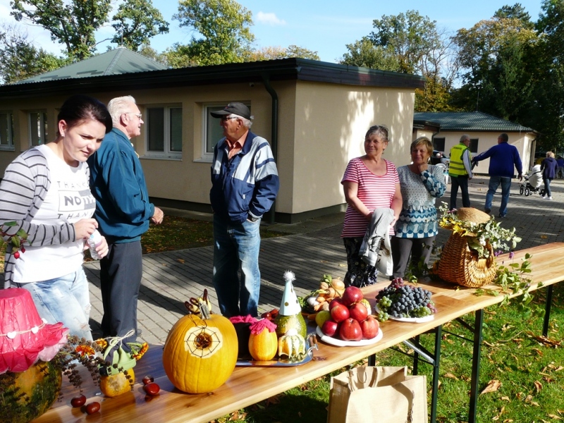 Čo záhrada dala a Tekvičková slávnosť 2019