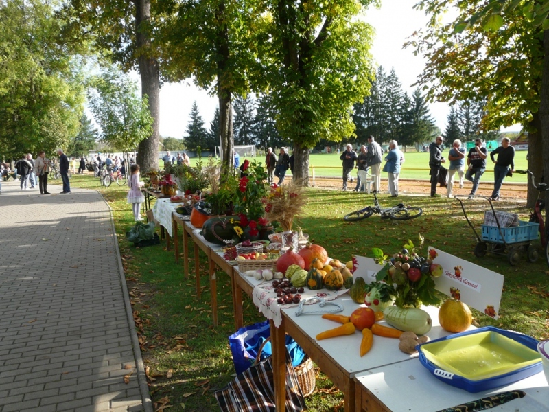 Čo záhrada dala a Tekvičková slávnosť 2019