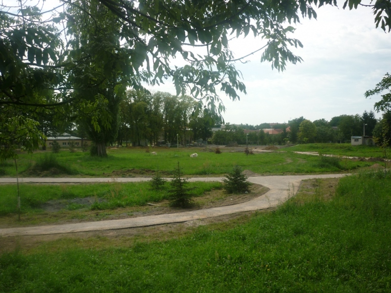 Leto 2011