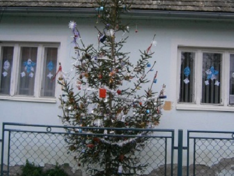 Vianočný stromček pred klubovňou