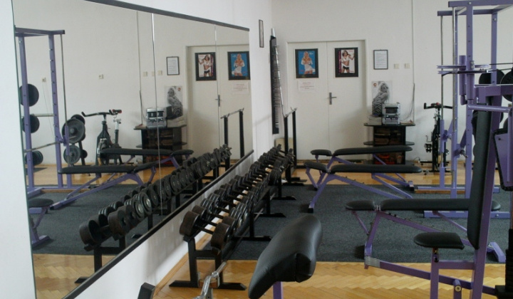 12. fotografia fotogalérie Fitness / Fotky - vybavenie fitnescentra - foto