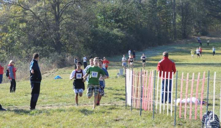 9. fotografia fotogalérie Cezpoľný beh / Majstrovstvá kraja 2011 - foto