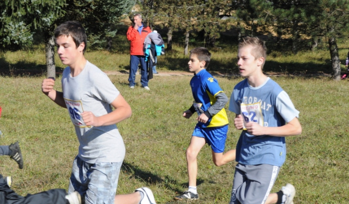 10. fotografia fotogalérie Cezpoľný beh / Majstrovstvá kraja 2011 - foto