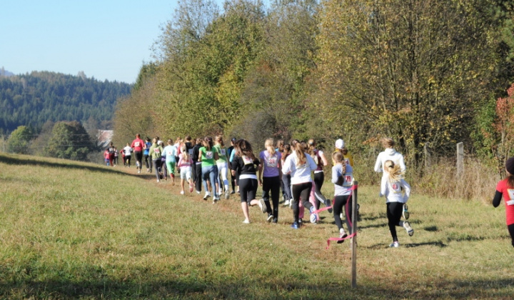 15. fotografia fotogalérie Cezpoľný beh / Majstrovstvá kraja 2011 - foto