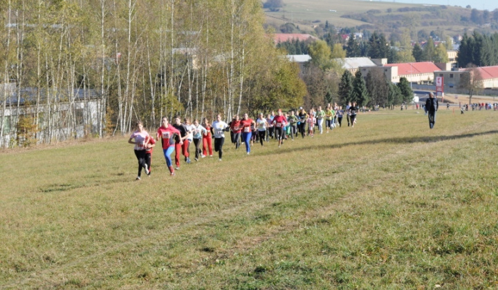 17. fotografia fotogalérie Cezpoľný beh / Majstrovstvá kraja 2011 - foto