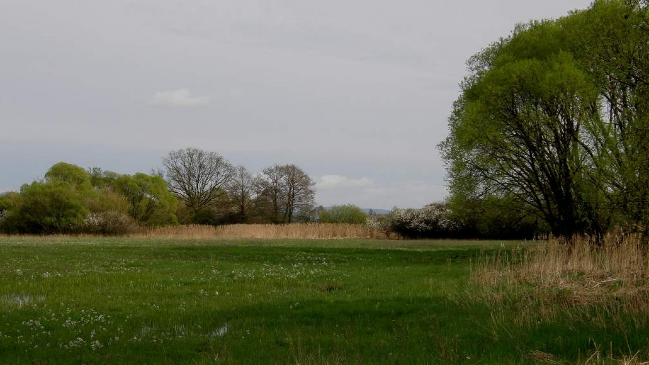 Fotografia fotogalérie Kalinovo dnes