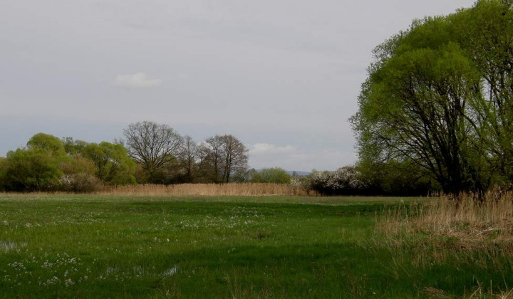 1. fotografia fotogalérie Kalinovo dnes