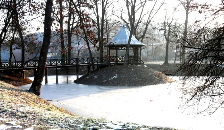 1. fotografia fotogalérie Január 2014