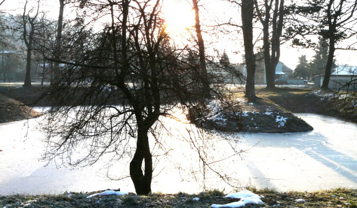 2. fotografia fotogalérie Január 2014