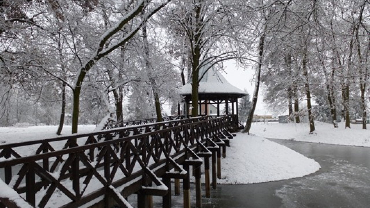 Fotografia fotogalérie December 2012