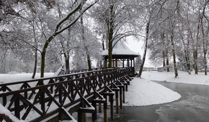 1. fotografia fotogalérie December 2012