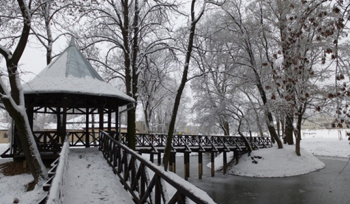 2. fotografia fotogalérie December 2012