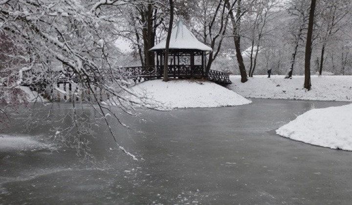 4. fotografia fotogalérie December 2012