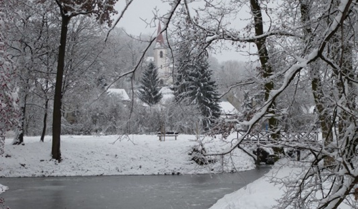 5. fotografia fotogalérie December 2012