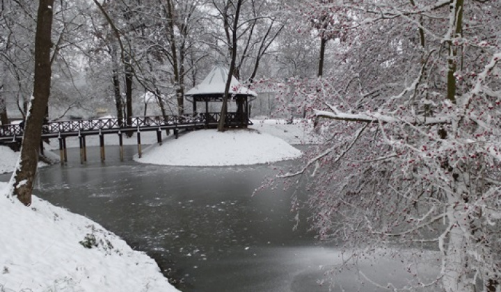 6. fotografia fotogalérie December 2012