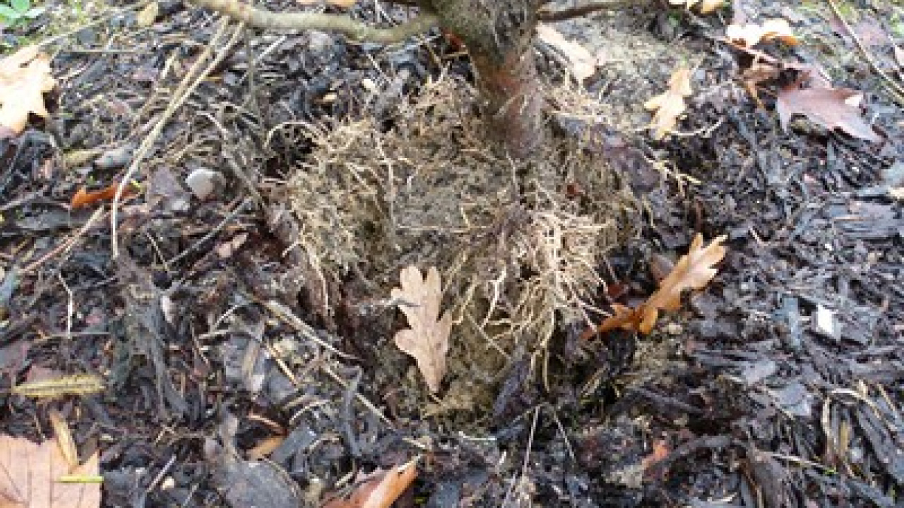 Fotografia fotogalérie Vandalizmus v parku