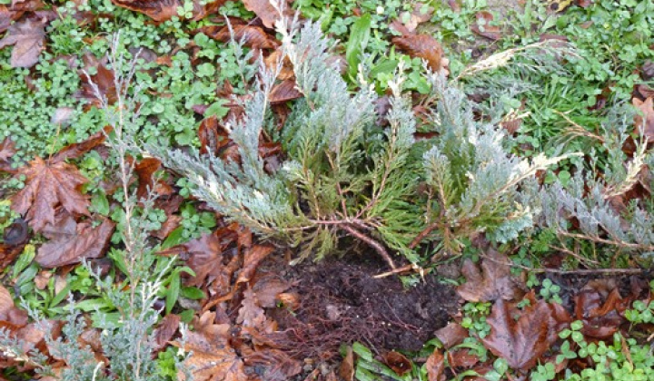 4. fotografia fotogalérie Vandalizmus v parku