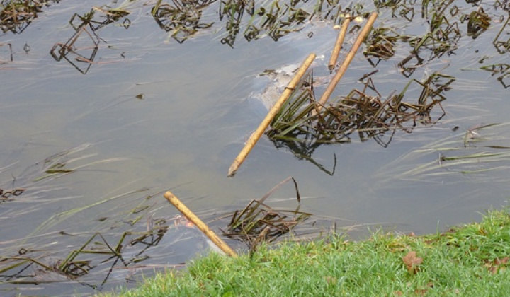 6. fotografia fotogalérie Vandalizmus v parku