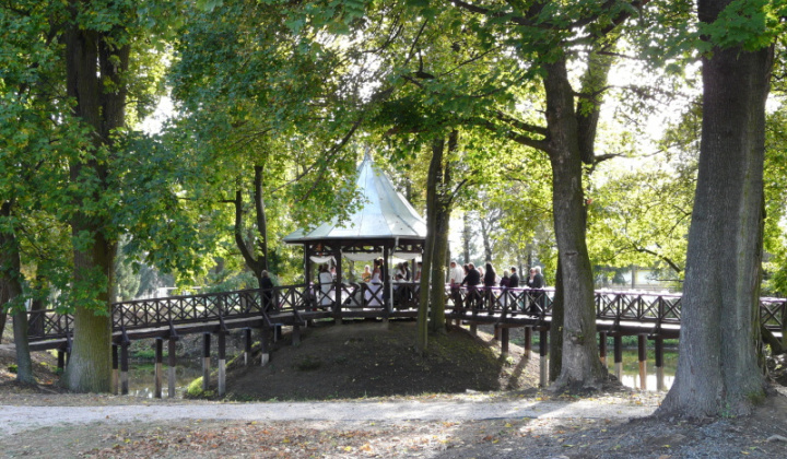 8. fotografia fotogalérie Svadba 21.9.2012