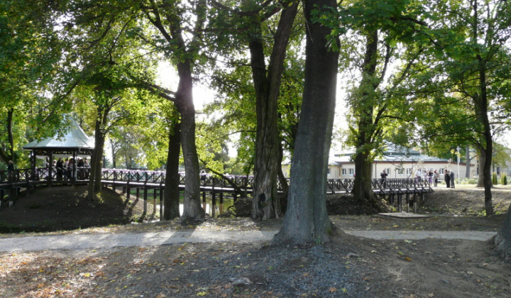 9. fotografia fotogalérie Svadba 21.9.2012