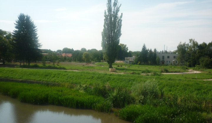 4. fotografia fotogalérie Leto 2011