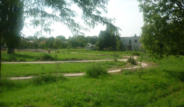 5. fotografia fotogalérie Leto 2011