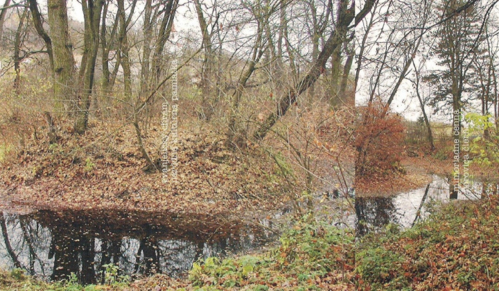 1. fotografia fotogalérie Gejzov park kedysi