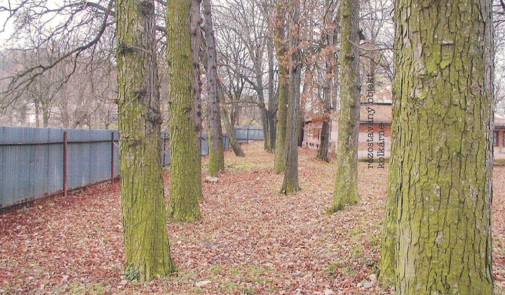 4. fotografia fotogalérie Gejzov park kedysi