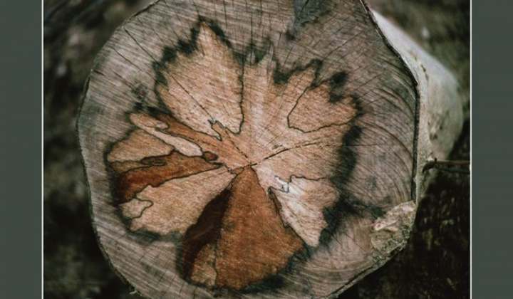 5. fotografia fotogalérie Rodáci a osobnosti / Július Križáni - foto