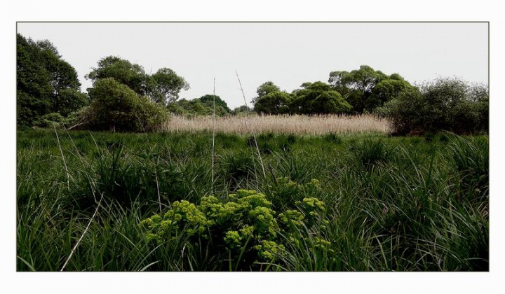 11. fotografia fotogalérie Rodáci a osobnosti / Július Križáni - foto