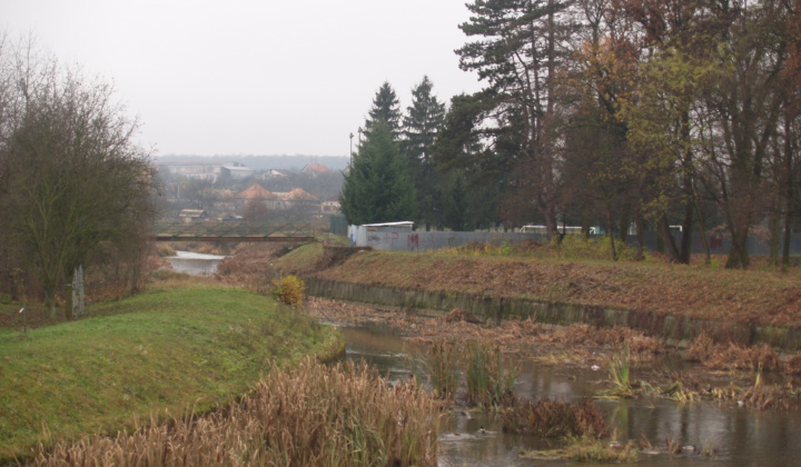 1. fotografia fotogalérie Projekty / Regulácia ipľa - foto