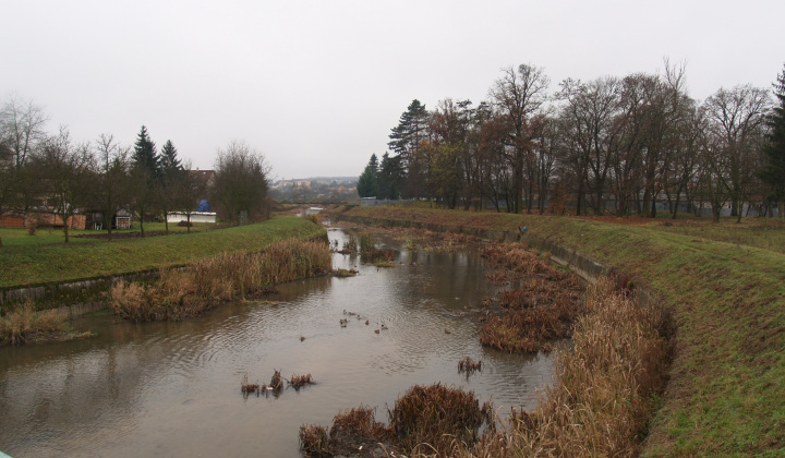 3. fotografia fotogalérie Projekty / Regulácia ipľa - foto