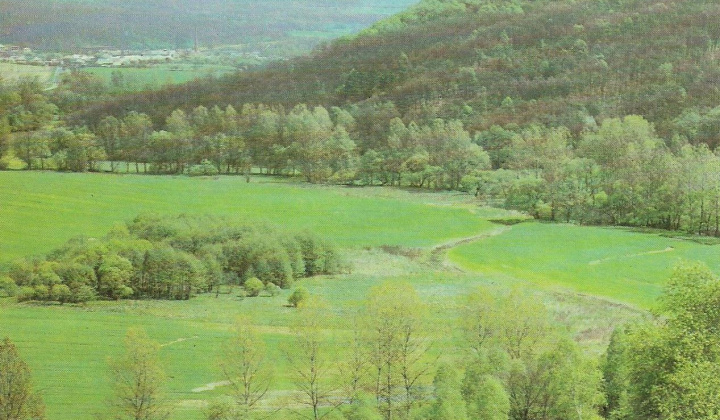 6. fotografia fotogalérie Kalinovo kedysi