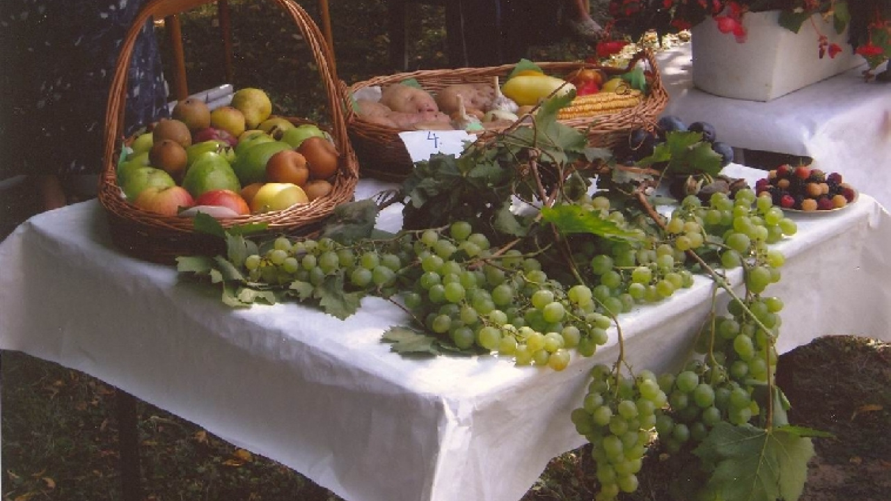 Fotografia fotogalérie Čo záhrada dala rok 2008