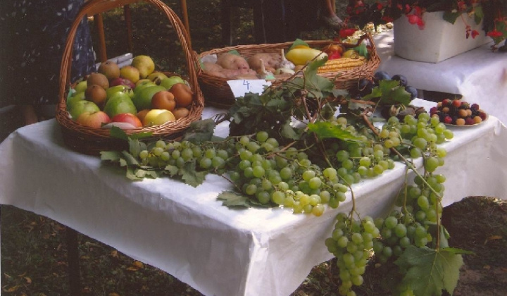 1. fotografia fotogalérie Čo záhrada dala rok 2008