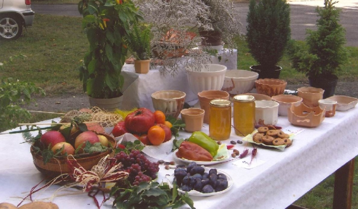 2. fotografia fotogalérie Čo záhrada dala rok 2008