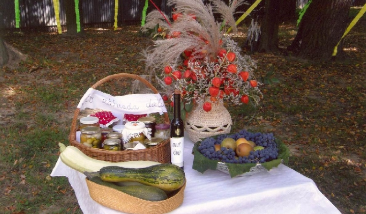 3. fotografia fotogalérie Čo záhrada dala rok 2008