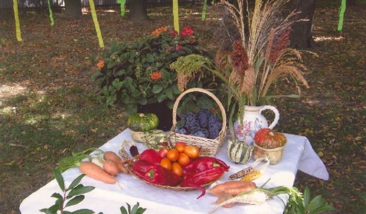 4. fotografia fotogalérie Čo záhrada dala rok 2008