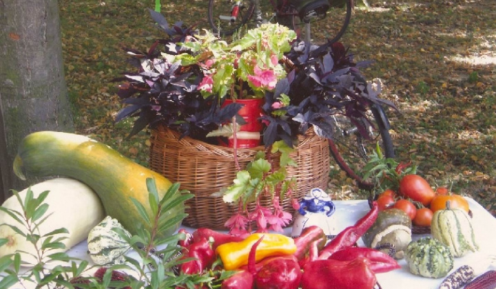 5. fotografia fotogalérie Čo záhrada dala rok 2008