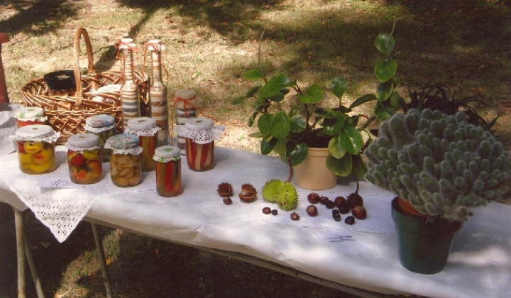 7. fotografia fotogalérie Čo záhrada dala rok 2008