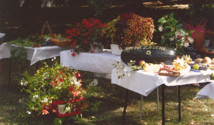 8. fotografia fotogalérie Čo záhrada dala rok 2008