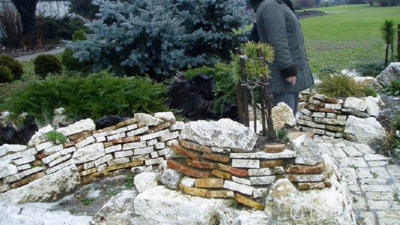 Fotografia fotogalérie Botanická záhrada