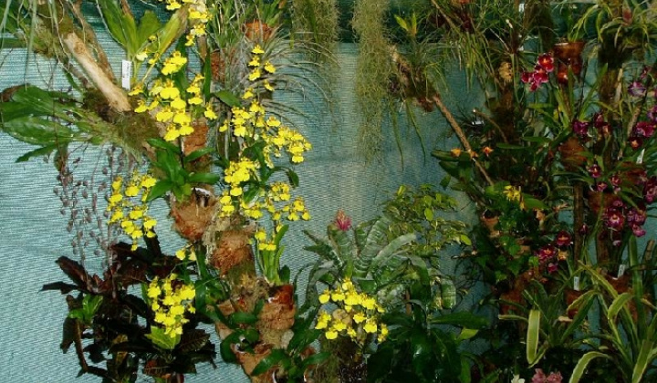 2. fotografia fotogalérie Botanická záhrada