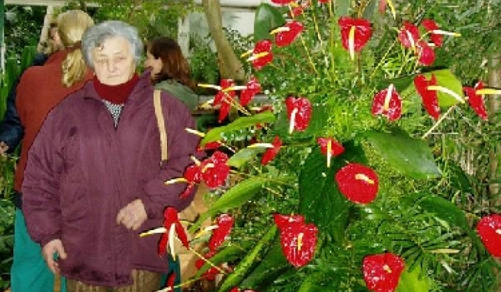 3. fotografia fotogalérie Botanická záhrada