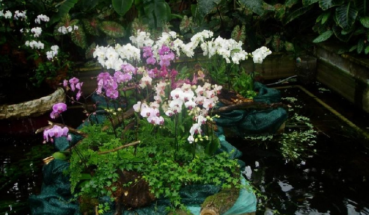 5. fotografia fotogalérie Botanická záhrada